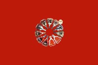 防城回收红酒